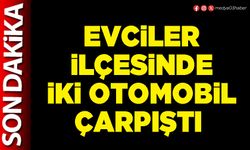 Evciler İlçesinde iki otomobil çarpıştı