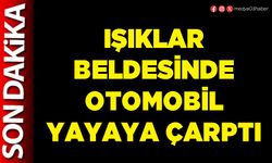 Işıklar Beldesinde otomobil yayaya çarptı