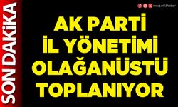AK Parti İl Yönetimi olağanüstü toplanıyor