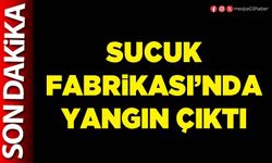 Sucuk Fabrikası’nda yangın çıktı