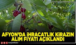 Afyon’da ihracatlık kirazın alım fiyatı açıklandı