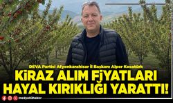 Kiraz alım fiyatları hayal kırıklığı yarattı!