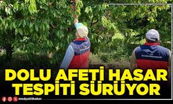 Dolu afeti hasar tespiti sürüyor