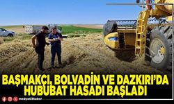 Başmakçı, Bolvadin ve Dazkırı’da hububat hasadı başladı