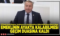 Emeklinin ayakta kalabilmesi geçim duasına kaldı