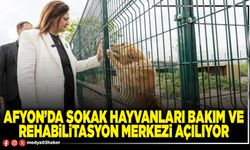 Afyon’da Sokak Hayvanları Bakım ve Rehabilitasyon Merkezi açılıyor