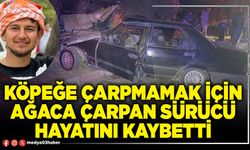 Köpeğe çarpmamak için ağaca çarpan sürücü hayatını kaybetti