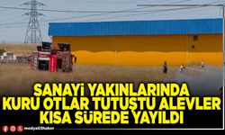 Sanayi yakınlarında kuru otlar tutuştu alevler kısa sürede yayıldı
