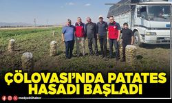Çölovası’nda patates hasadı başladı