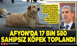 Afyon’da 17 Bin 580 sahipsiz köpek toplandı