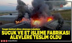 Sucuk ve et işleme fabrikası alevlere teslim oldu
