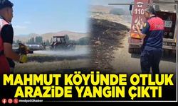 Mahmut Köyünde otluk arazide yangın çıktı