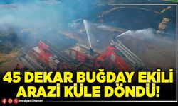 45 dekar buğday ekili arazi küle döndü!