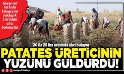 Patates üreticinin yüzünü güldürdü!