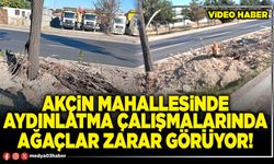 Akçin Mahallesinde aydınlatma çalışmalarında ağaçlar zarar görüyor!