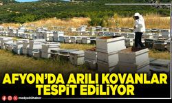 Afyon’da arılı kovanlar tespit ediliyor