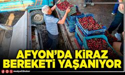 Afyon’da kiraz bereketi yaşanıyor