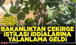 Bakanlıktan çekirge istilası iddialarına yalanlama geldi