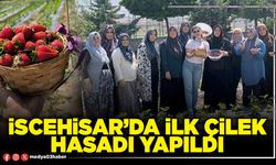 İscehisar’da ilk çilek hasadı yapıldı