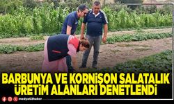 Barbunya ve kornişon salatalık üretim alanları denetlendi