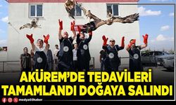 AKÜREM’de tedavileri tamamlandı doğaya salındı