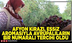 Afyon kirazı, eşsiz aromasıyla Avrupalıların bir numaralı tercihi oldu