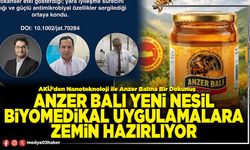 Anzer balı yeni nesil biyomedikal uygulamalara zemin hazırlıyor