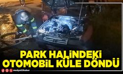 Park halindeki otomobil küle döndü