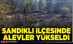 Sandıklı İlçesinde alevler yükseldi