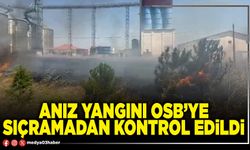 Anız yangını OSB’ye sıçramadan kontrol edildi
