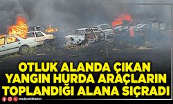 Otluk alanda çıkan yangın hurda araçların toplandığı alana sıçradı
