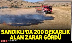 Sandıklı’da 200 dekarlık alan zarar gördü