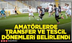 Amatörlerde transfer ve tescil dönemleri belirlendi