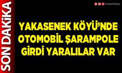 Yakasenek Köyü’nde otomobil şarampole girdi yaralılar var
