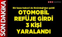 Otomobil refüje girdi 3 kişi yaralandı