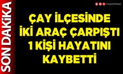 Çay İlçesinde iki araç çarpıştı 1 kişi hayatını kaybetti