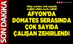 Afyon’da domates serasında çok sayıda çalışan zehirlendi