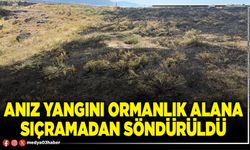 Anız yangını ormanlık alana sıçramadan söndürüldü