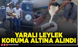 Yaralı leylek koruma altına alındı