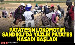 Patatesin lokomotifi Sandıklı’da yazlık patates hasadı başladı