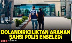 Dolandırıcılıktan aranan şahsı polis enseledi