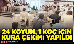 24 koyun, 1 koç için kura çekimi yapıldı