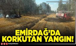 Emirdağ’da korkutan yangın!
