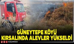Güneytepe Köyü kırsalında alevler yükseldi