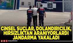 Cinsel suçlar, dolandırıcılık, hırsızlıktan aranıyorlardı Jandarma yakaladı