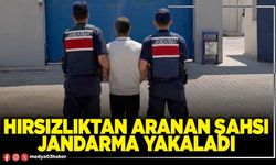 Hırsızlıktan aranan şahsı jandarma yakaladı