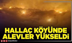 Hallaç Köyünde alevler yükseldi