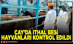 Çay’da ithal besi hayvanları kontrol edildi