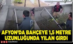 Afyon’da bahçeye 1,5 metre uzunluğunda yılan girdi