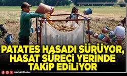 Patates hasadı sürüyor, hasat süreci yerinde takip ediliyor